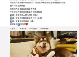 网红王可可,从宠物博主到时尚偶像的华丽蜕变