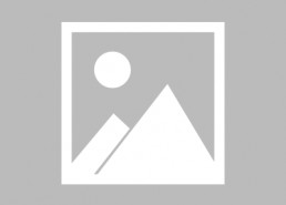 娱乐圈心声吃瓜系统