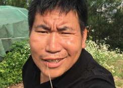 名人网红的看法,数字化时代下的影响力与责任