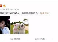 娱乐吃瓜张翰是谁啊视频,娱乐吃瓜界的风云人物