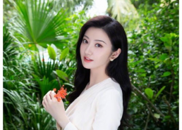 景甜的幕后背景,影视圈背后的神秘力量与璀璨星途