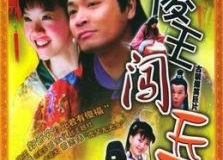 傻王闯天下演员表