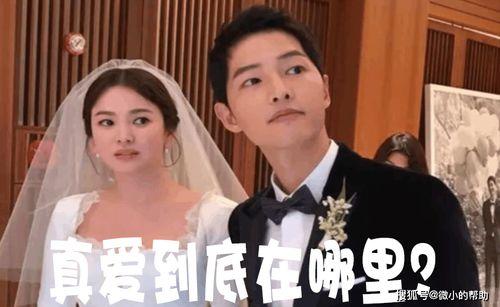 娱乐圈主题吃瓜事件